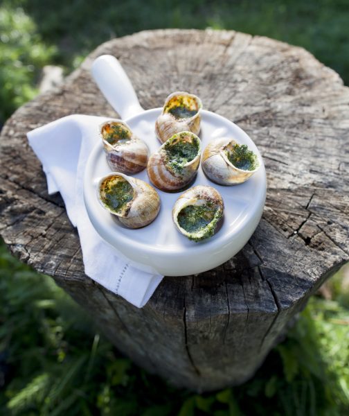 Gratinierte Escargots von Gugumuck, Weinbergschnecken gratiniert mit Schneckenbutter, Parmesan, Rosmarin, Mandel - spezielle Schneckenbutter Sorten. Schneckenbutter Rezepte: Kräuterbutter, Orangen Mandel Butter, Parmesan Rosmarin Butter entweder in unserem Gourmet Shop, oder über unseren Feinkostversand.