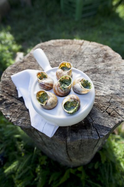 Gratinierte Escargots von Gugumuck, Weinbergschnecken gratiniert mit Schneckenbutter, Parmesan, Rosmarin, Mandel - spezielle Schneckenbutter. Schneckenbutter Rezepte: Kräuterbutter, Orangen Mandel Butter, Parmesan Rosmarin Butter entweder in unserem Gourmet Shop, oder über unseren Feinkostversand.