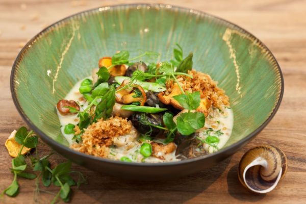 Schnecken-Frikasse, im Park Hyatt mit Escargots von der Wiener Schnecken-Manufaktur Gugumuck, Sommer nicht den Wiener Schnecken mit z.B.. Kalbsbries, Tintenfisch, Rinderfilet, Aal von Christian Domschitz