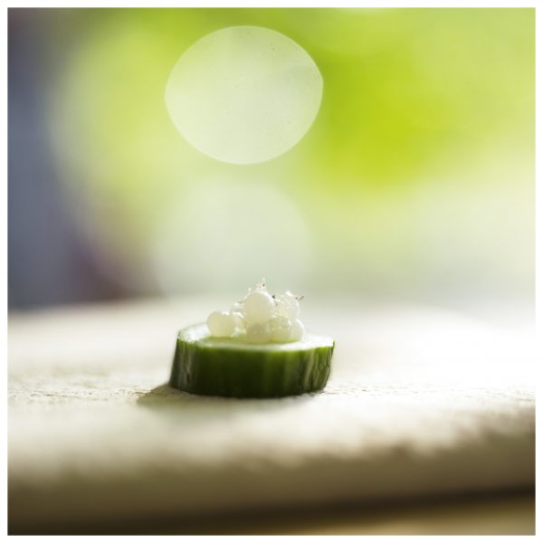 Escargot-Kaviar von Gugumuck, Wiener Schnecken-Manufaktur. Schneckenperlen oder Schneckenkaviar ist ein Geheimtipp unter Haubenköchen geworden. OB ALS AMUSE-GUEULE ODER TOPPING FÜR IHR GANZ BESONDERES GERICHT!