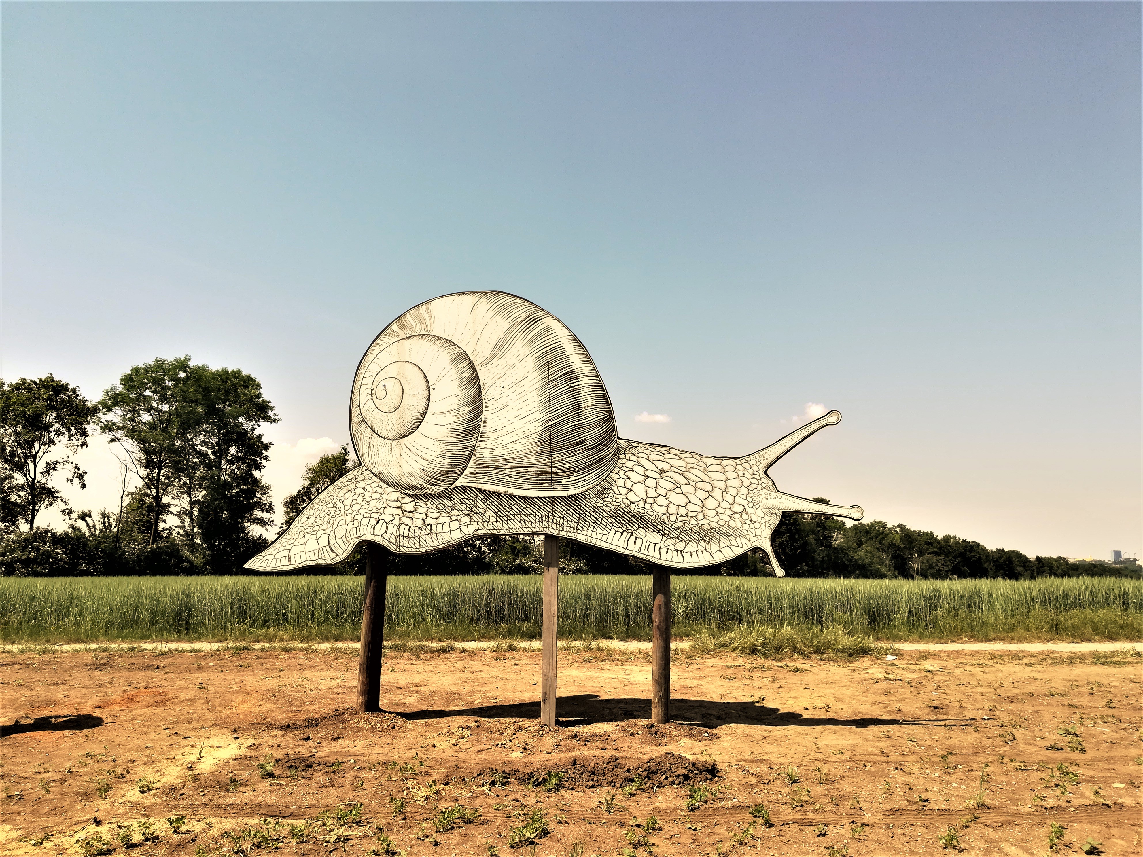 Riesenschnecke, Escargot, auf der Schneckenfarm Gugumuck