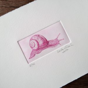 violett, graviert, Perfektion, Kupferplatte, Auflage limitiert, Kupferstich mit Holzrahmen einer Weinbergschnecke, Escargot