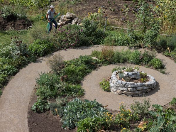 Nachhaltig Permakultur Waldgarten Kräutergarten für Weinbergschnecken, Escargots auf der Stadtlandwirtschaft. Der Gugumuck-Hof ist geprägt vom Gedanken der nachhaltigen Entwicklung einer sparsamen und effektiven Nutzung begrenzter natürlicher Ressourcen. nachhaltigen Gedanken, ökologischer Effekte sind uns ein Anliegen.