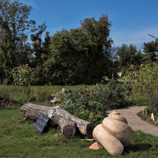 Nachhaltig Permakultur Waldgarten Kräutergarten für Weinbergschnecken, Escargots auf der Stadtlandwirtschaft. Öko Innovation ist ein großes Anliegen. Ernährungskonzepte entwickeln, die durch hohe Umweltverträglichkeit auszeichnet sind. Entwicklungsprozess und Teil unserer Unternehmenskultur im Lebensmittelmanagement.