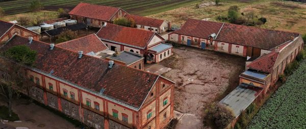 Hier finden Sie die Beitrittserklärung und die Satzung des Projektes Haschahof in Rothneusiedl zum Thema Genossenschaft "Zukunftshof". Werden Sie ein Teil.
